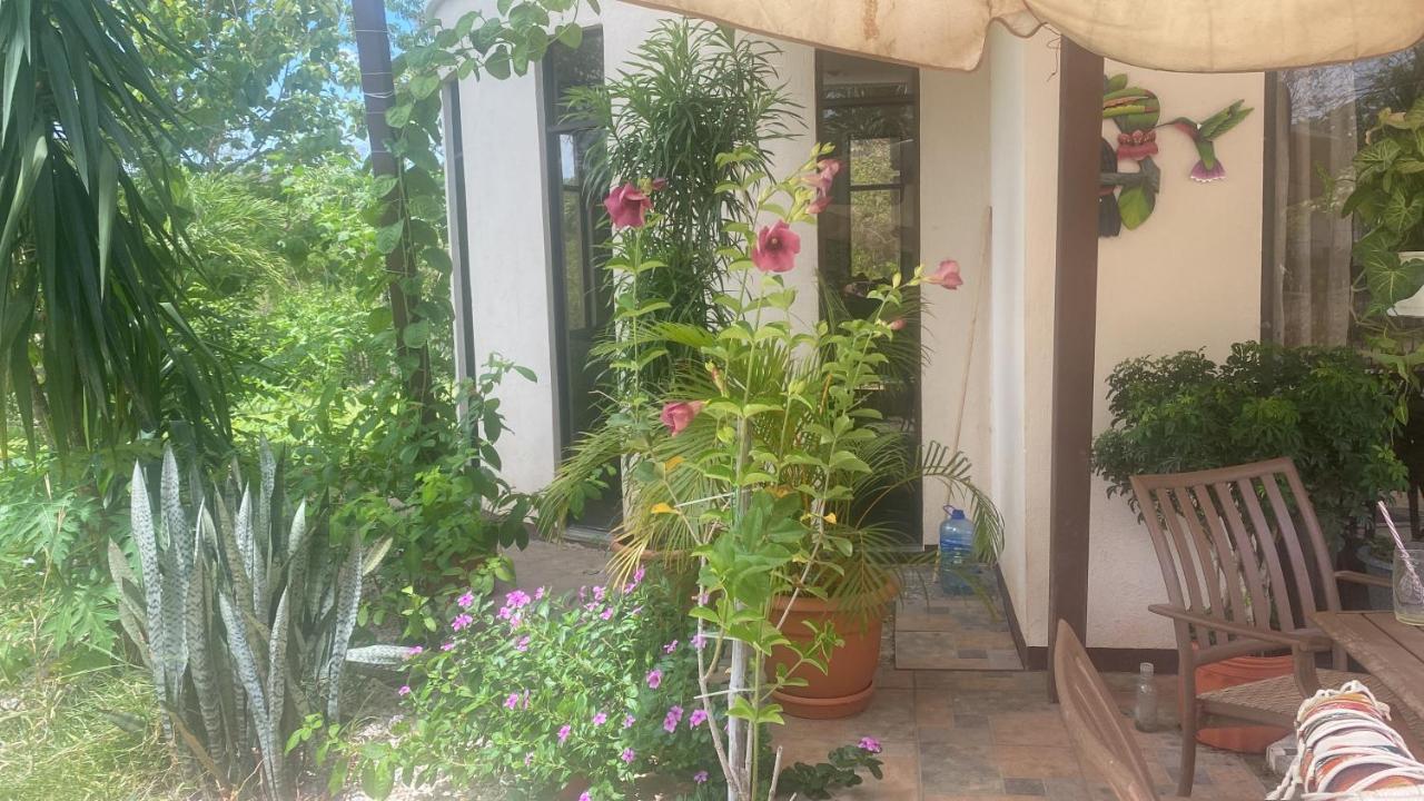 Villa Pura Vida Matapalo  Kültér fotó