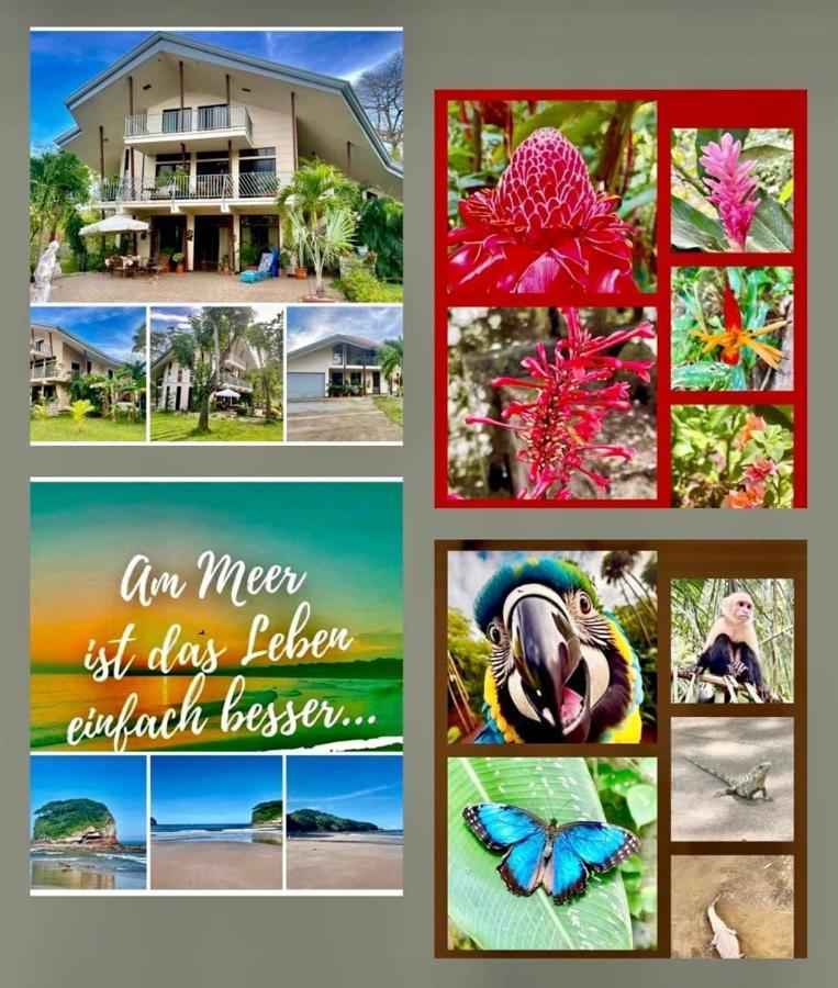 Villa Pura Vida Matapalo  Kültér fotó
