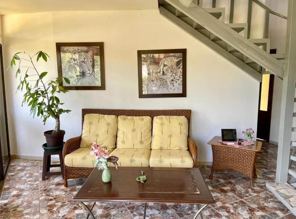 Villa Pura Vida Matapalo  Kültér fotó