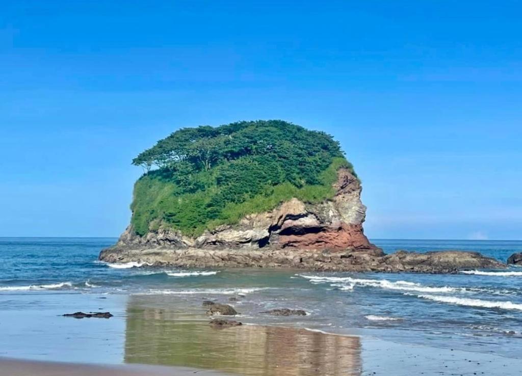 Villa Pura Vida Matapalo  Kültér fotó