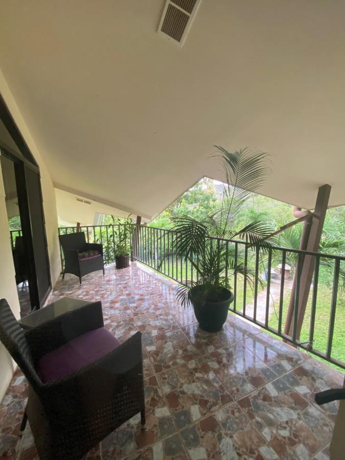 Villa Pura Vida Matapalo  Kültér fotó