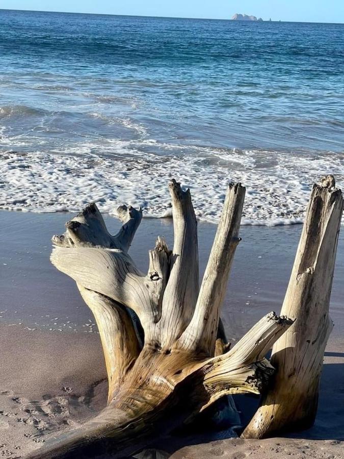 Villa Pura Vida Matapalo  Kültér fotó