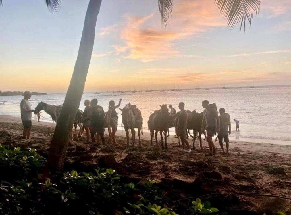 Villa Pura Vida Matapalo  Kültér fotó