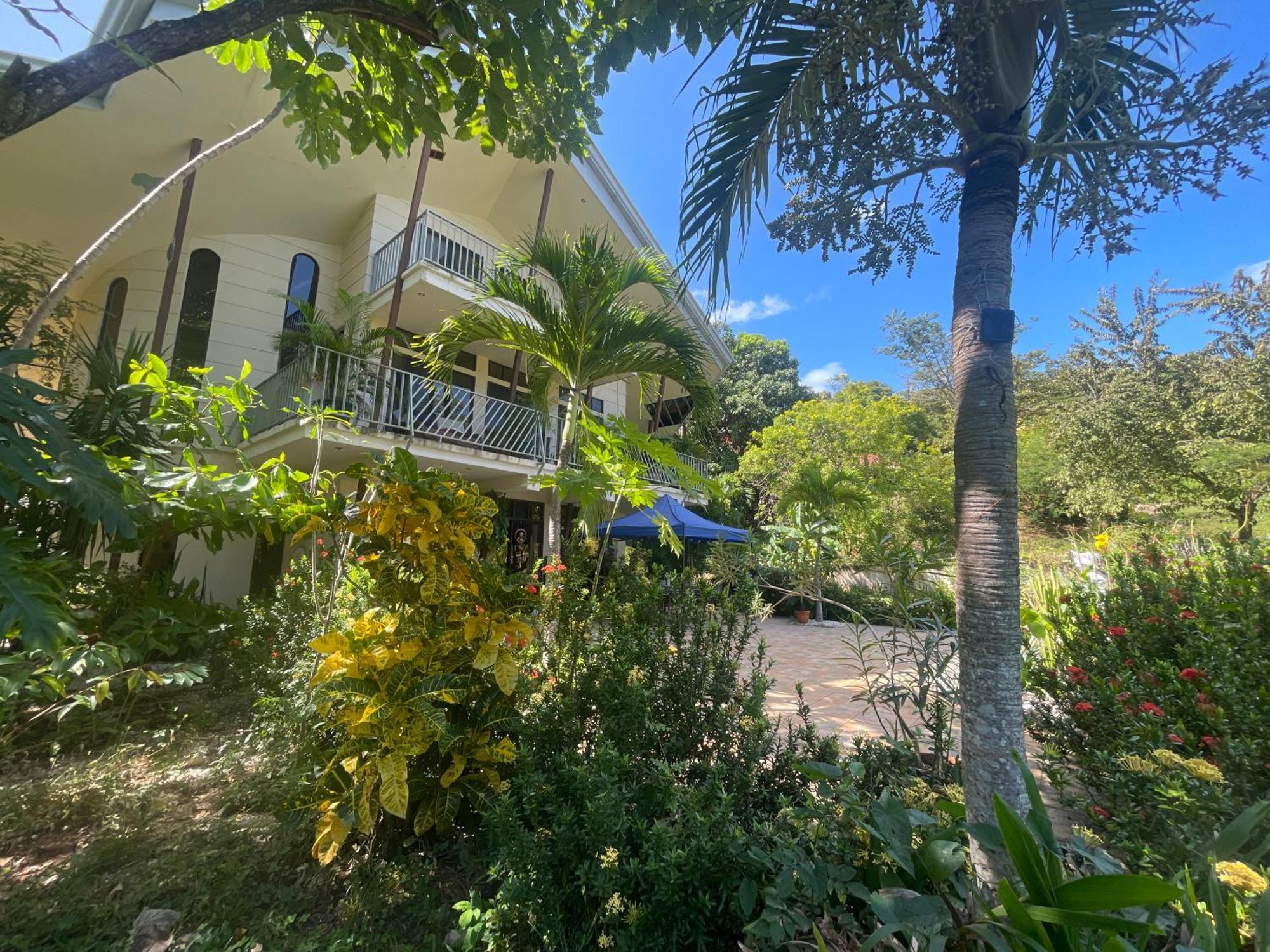 Villa Pura Vida Matapalo  Kültér fotó